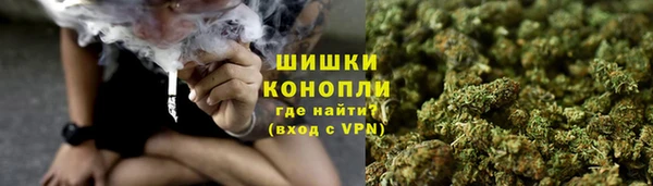 твердый Арсеньев