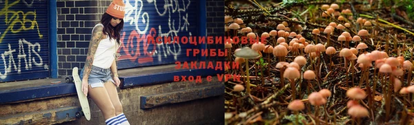 твердый Арсеньев
