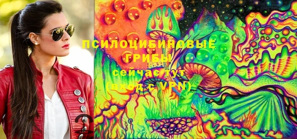 твердый Арсеньев