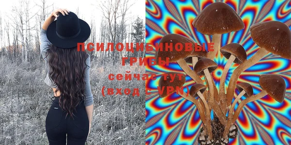 ПСИЛОЦИБИНОВЫЕ ГРИБЫ Аркадак