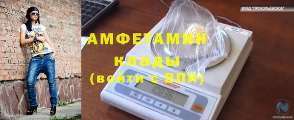 твердый Арсеньев